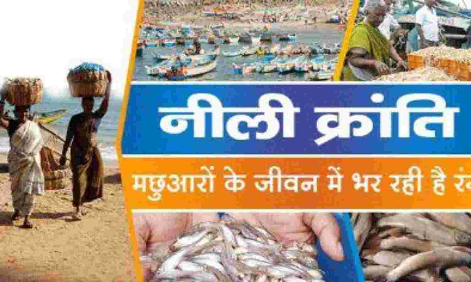 नीली क्रांति मानवता के लिए कहीं अभिशाप न बन जाए