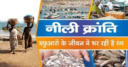 नीली क्रांति मानवता के लिए कहीं अभिशाप न बन जाए