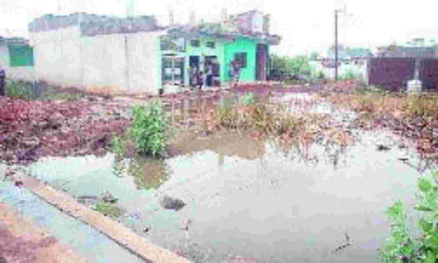 नगर पालिका द्वारा किए जा रहे स्वच्छता के प्रयासों पर बदनुमा दाग बन चुके है खाली प्लॉट