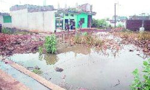 नगर पालिका द्वारा किए जा रहे स्वच्छता के प्रयासों पर बदनुमा दाग बन चुके है खाली प्लॉट