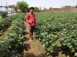 उन्नत खेती से किसान यादव ने लाभ की पकड़ी रफ्तार