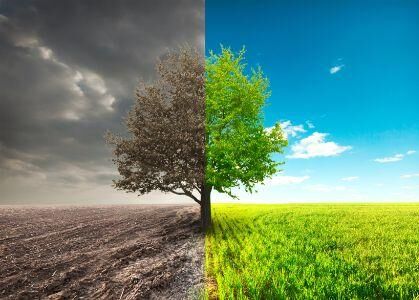 पर्यावरण : जमीनी हकीकत