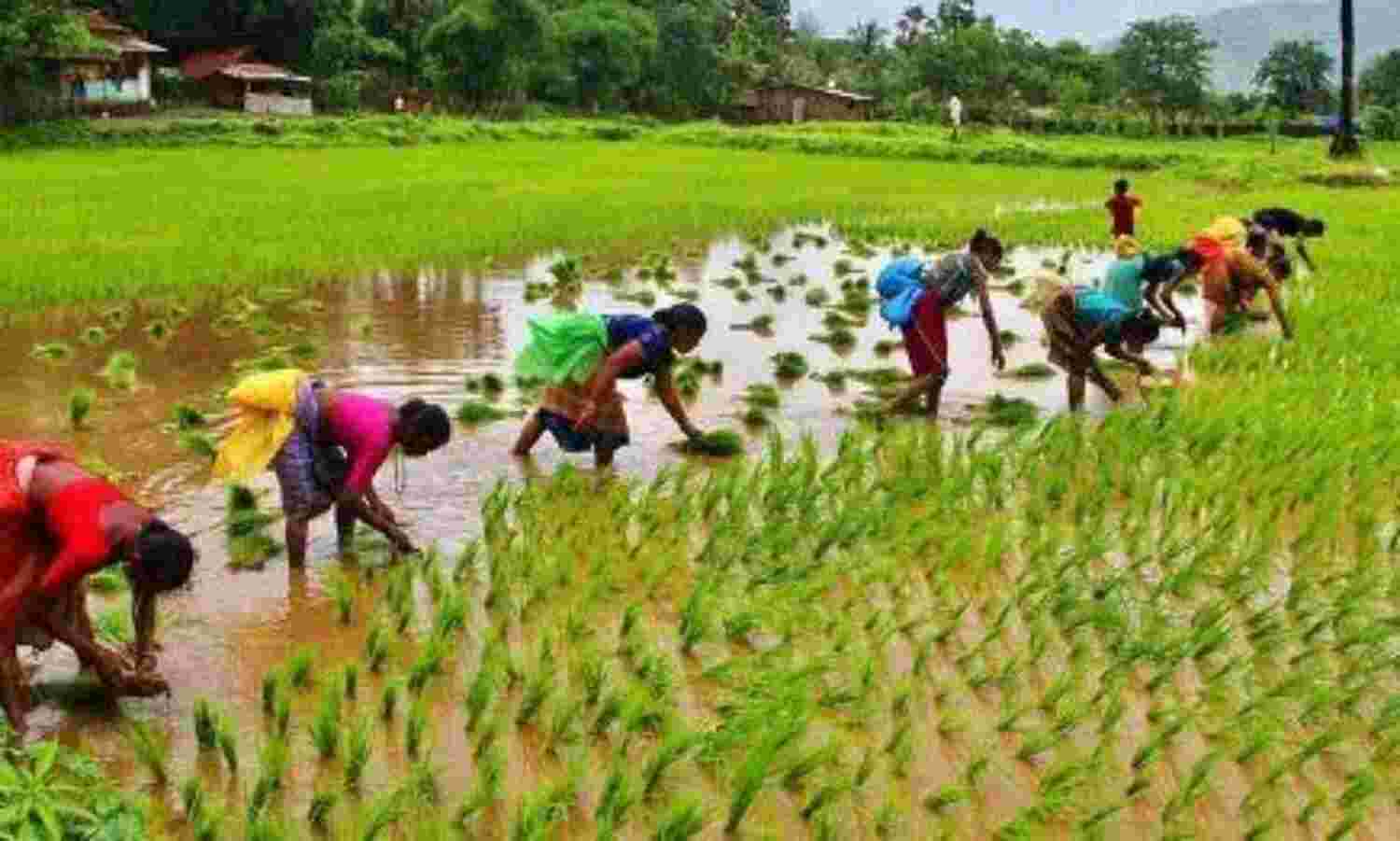 मोदी का मास्टर स्ट्रोक : खरीफ की 14 फसलों का एमएसपी बढ़ाया