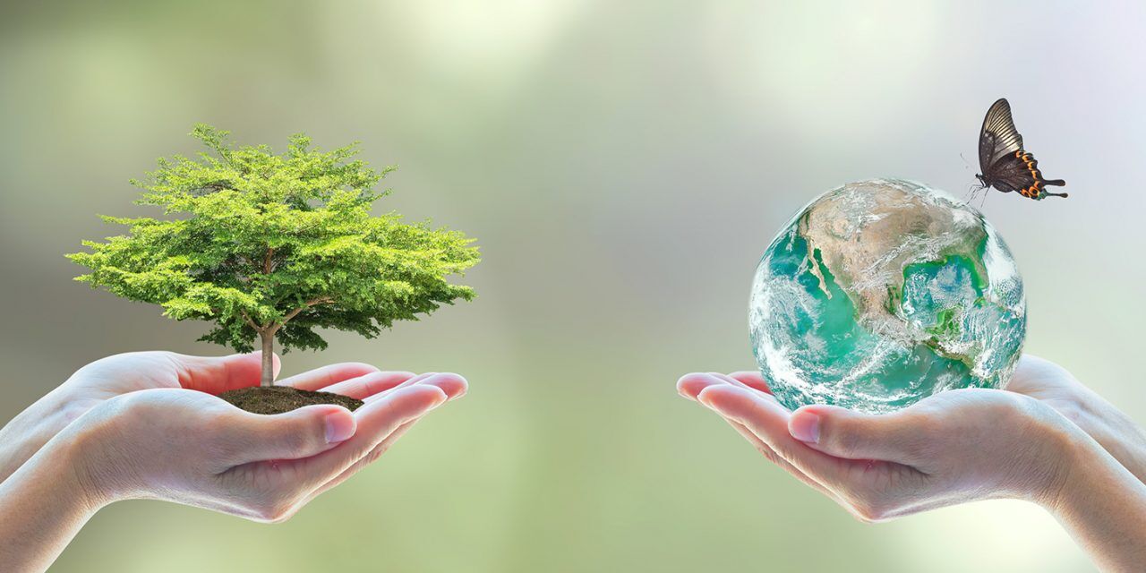 आने वाली पीढ़ियों को स्वस्थ पर्यावरण और सुरक्षित पृथ्वी देने के लिए आज से संरक्षण करना समय की मांग