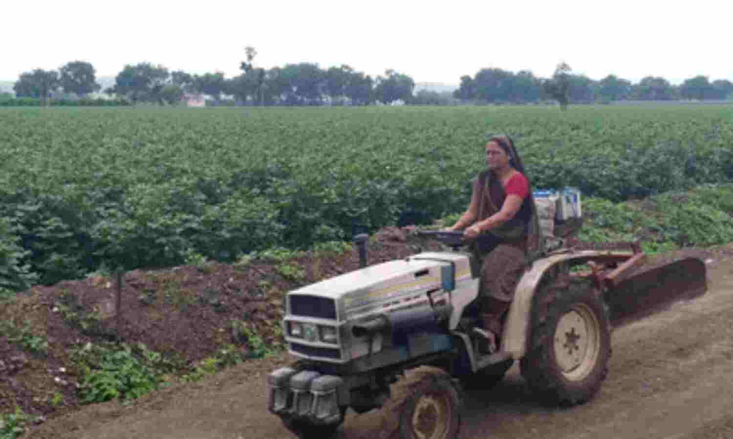 महिला कृषकों में चुनी गई बड़वानी की ललीता, पीएम मोदी करेंगे सम्‍मानित