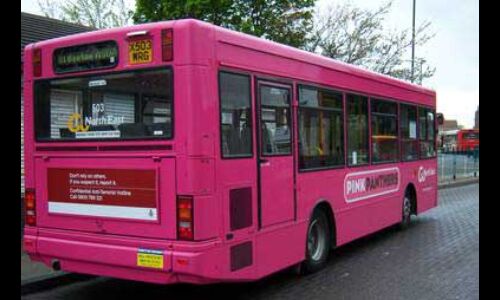 उत्तर प्रदेश : पिंक स्पेशल बसों की कमान महिलाओं के हाथ, आठ शहरों में होगी महिला ड्राइवरों की भर्ती