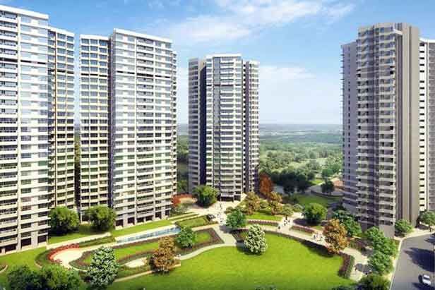 चिकित्सक से किया फ्लैट का सौदा, बिल्डर्स ने किसी और को बेचा चिकित्सक से किया फ्लैट का सौदा, बिल्डर्स ने किसी और को बेचा