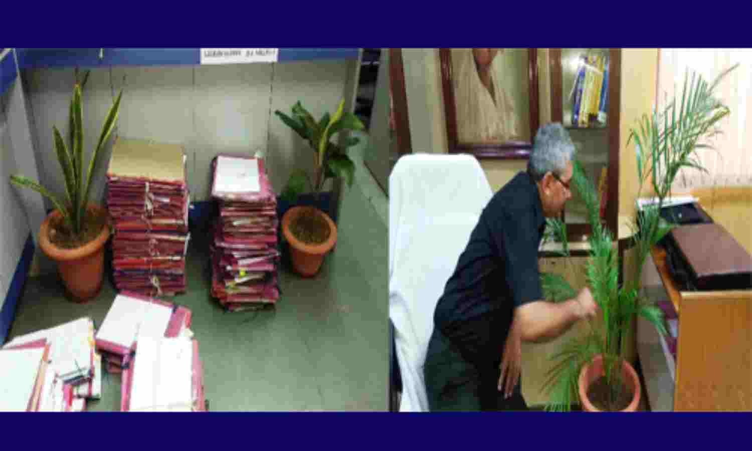 अभिनव प्रयोग : उच्च न्यायालय के कक्षों में हरियाली ने बढ़ाई कार्यक्षमता, तनाव किया कम