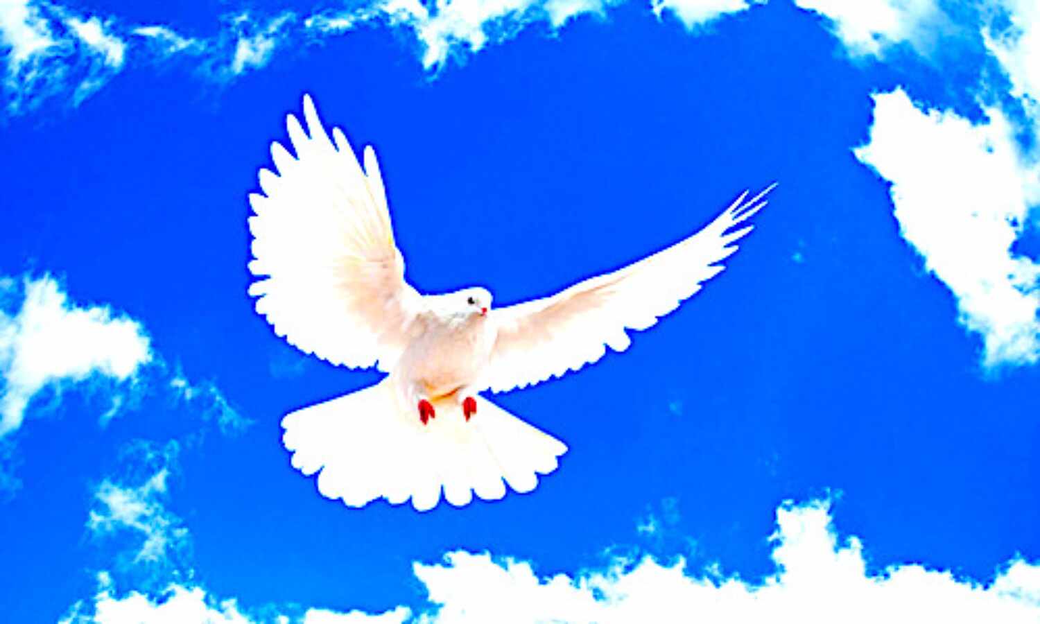 अशांति अंधेरा है और शांति उजाला है अशांति अंधेरा है और शांति उजाला है