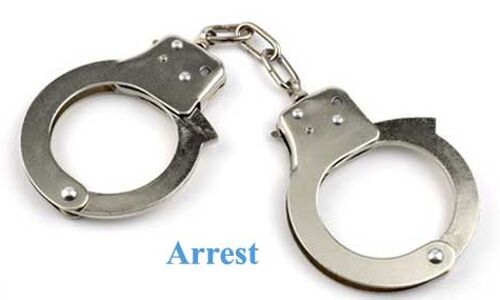 वन अमले पर पथराव कर ट्रैक्टर-ट्रॉली छुड़ा ले गए माफिया