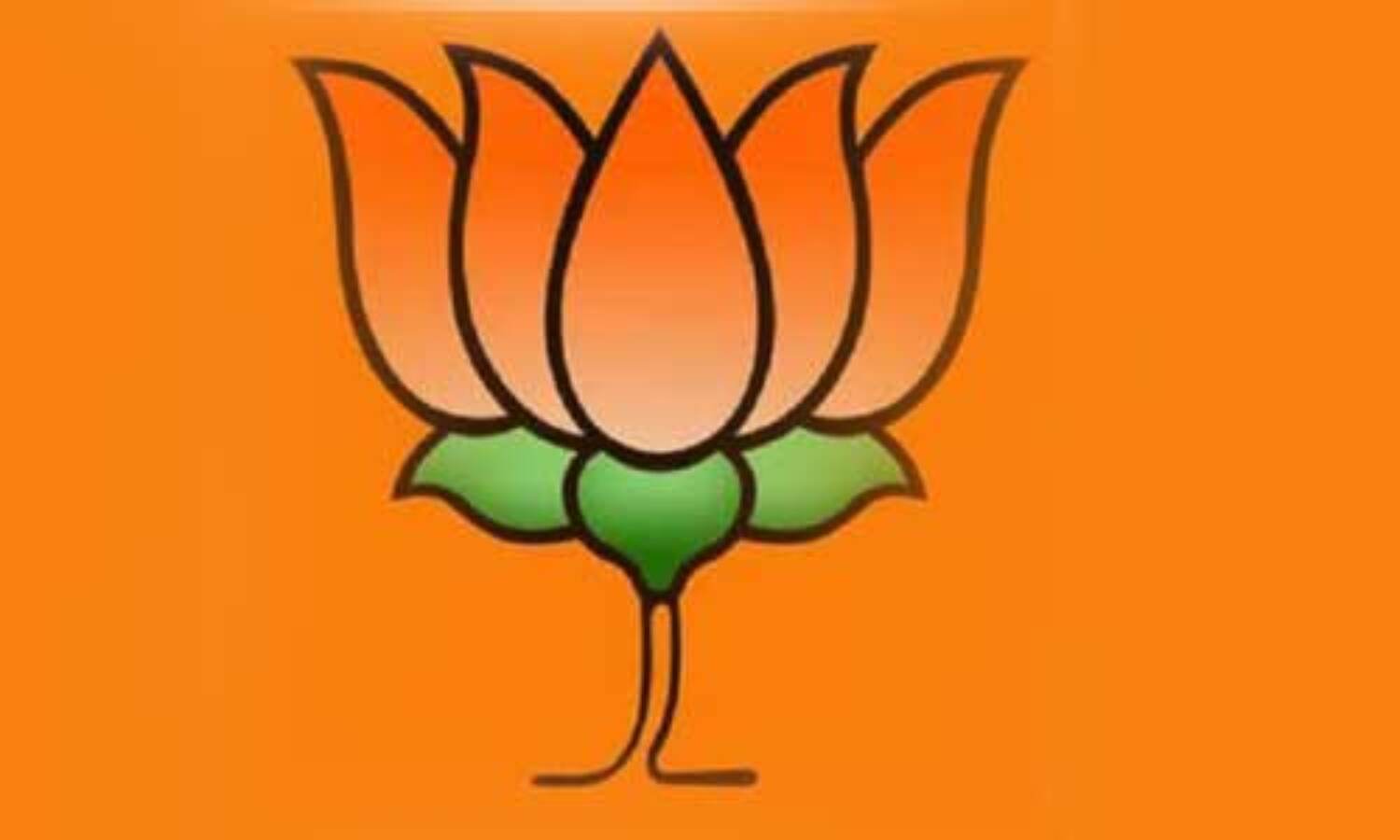 जिलाध्यक्षों से चर्चा कर विधानसभावार जानकारी ले रहे हैं भाजपा प्रदेशाध्यक्ष