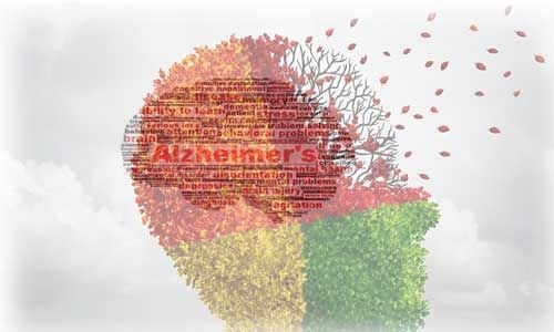 विश्व अल्जाइमर दिवस : हर तीसरे सेकंड में बन रहा है एक शख्स भुलक्कड़