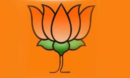 जिलाध्यक्षों से चर्चा कर विधानसभावार जानकारी ले रहे हैं भाजपा प्रदेशाध्यक्ष