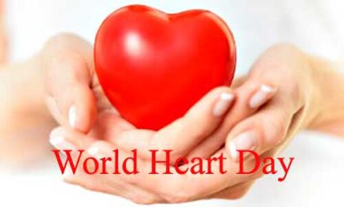 विश्व हृदय दिवस : कैसे रखें अपने दिल का ख्याल विश्व हृदय दिवस : कैसे रखें अपने दिल का ख्याल