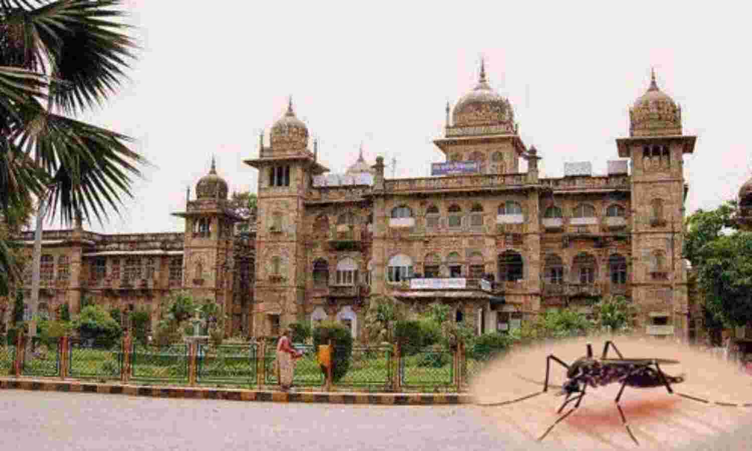 डेंगू से अब चिकित्सा छात्रों में भी डर, जयारोग्य परिसर में भी है मच्छरों का प्रकोप डेंगू से अब चिकित्सा छात्रों में भी डर, जयारोग्य परिसर में भी है मच्छरों का प्रकोप