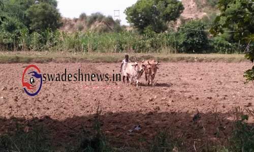 आत्मनिर्भर भारत अभियान : किसान, डेयरी... पैकेज में आज 11 बड़े ऐलान