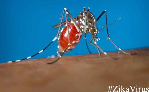 जीका वायरस से रहिये सावधान, ऐसे करें बचाव