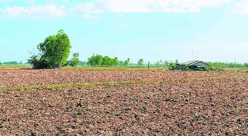 कृषि भूमि का पंजीयन कराते ही शुरू हो जाएगी नामांतरण प्रक्रिया कृषि भूमि का पंजीयन कराते ही शुरू हो जाएगी नामांतरण प्रक्रिया