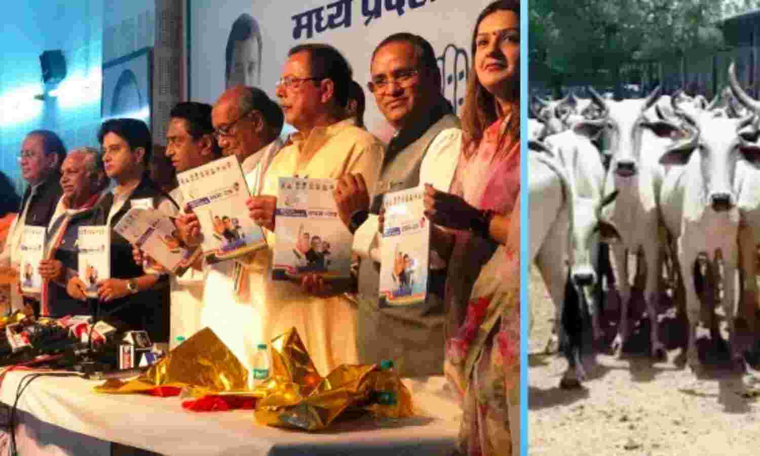 अब सेक्यूलर लोगों की भी गौशालाएं