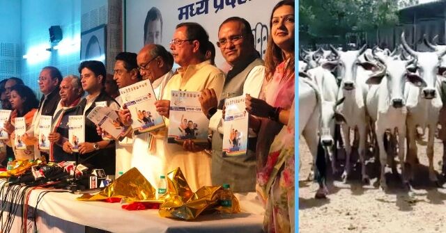 अब सेक्यूलर लोगों की भी गौशालाएं