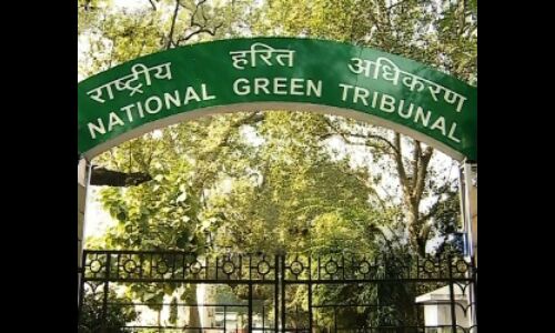 एनजीटी ने दिल्ली के चीफ सेक्रेटरी को लगाई फटकार एनजीटी ने दिल्ली के चीफ सेक्रेटरी को लगाई फटकार