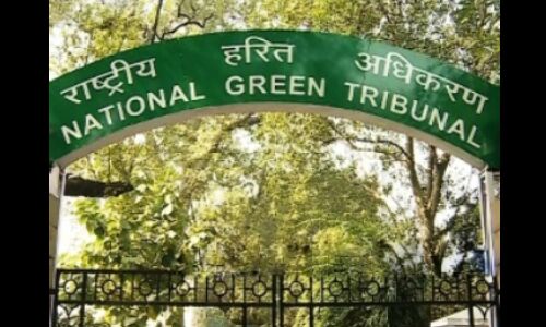 एनजीटी ने जर्मन कार कंपनी वॉक्सवैगन पर 500 करोड़ का जुर्माना ठोंका