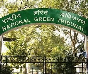 गोवर्धन में बिना पंजीकृत ई-रिक्शा चलाने पर एनजीटी ने लगाई रोक