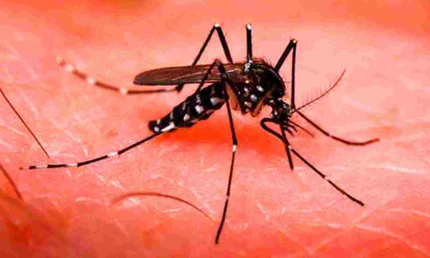 दहशत फैलाता डेंगू का रौद्र रूप