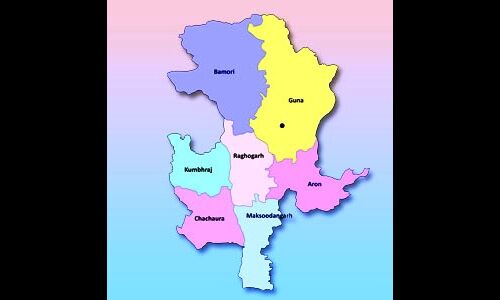 गुना में मतदान के दौरान पीठासीन अधिकारी की मौत गुना में मतदान के दौरान पीठासीन अधिकारी की मौत