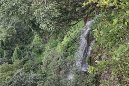 अमरकंटक दर्शन : कालिदास के मेघदूत भी यहाँ आकर ठहरे