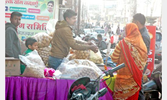 शेर पर सवार होकर आई संक्रांति