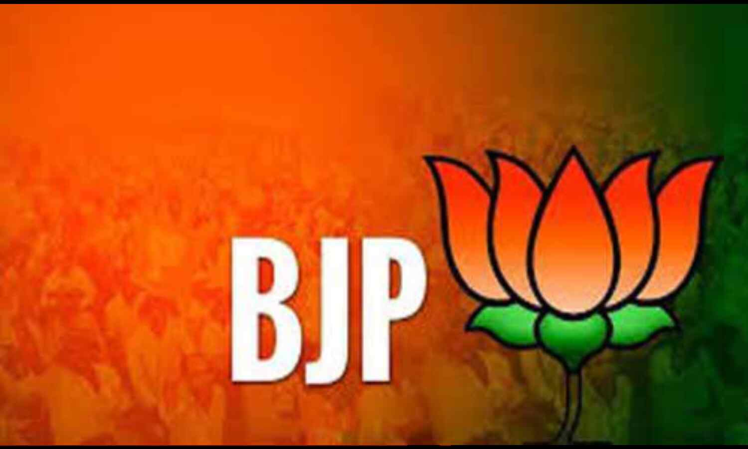 चुनावी मोड में सबसे ज्यादा एक्टिव हैं भाजपा कार्यकर्ता