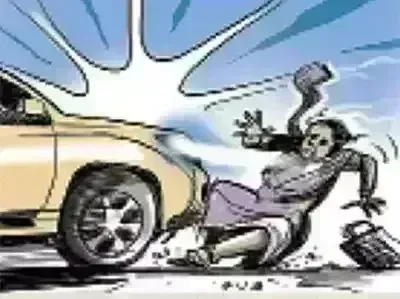 खेत पर पति को खाना देकर लौट रही महिला को वाहन ने रौंदा, मौत