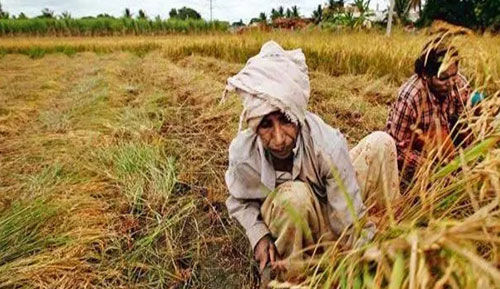 व्यापारियों व किसानों को पेंशन देगी मोदी सरकार : सुशील मोदी