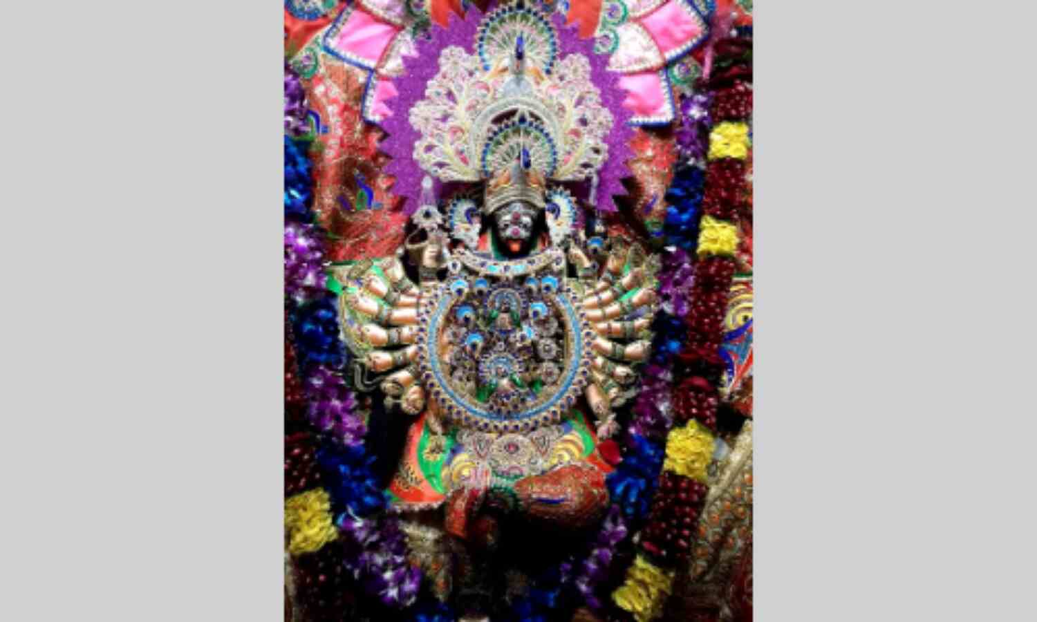 धूमधाम से मनाया गया महाकाली माँ रंगेश्वरी देवी का स्थापना दिवस समारोह