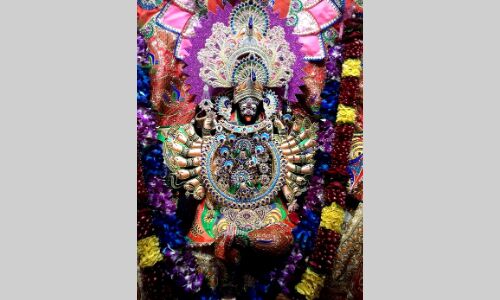 धूमधाम से मनाया गया महाकाली माँ रंगेश्वरी देवी का स्थापना दिवस समारोह