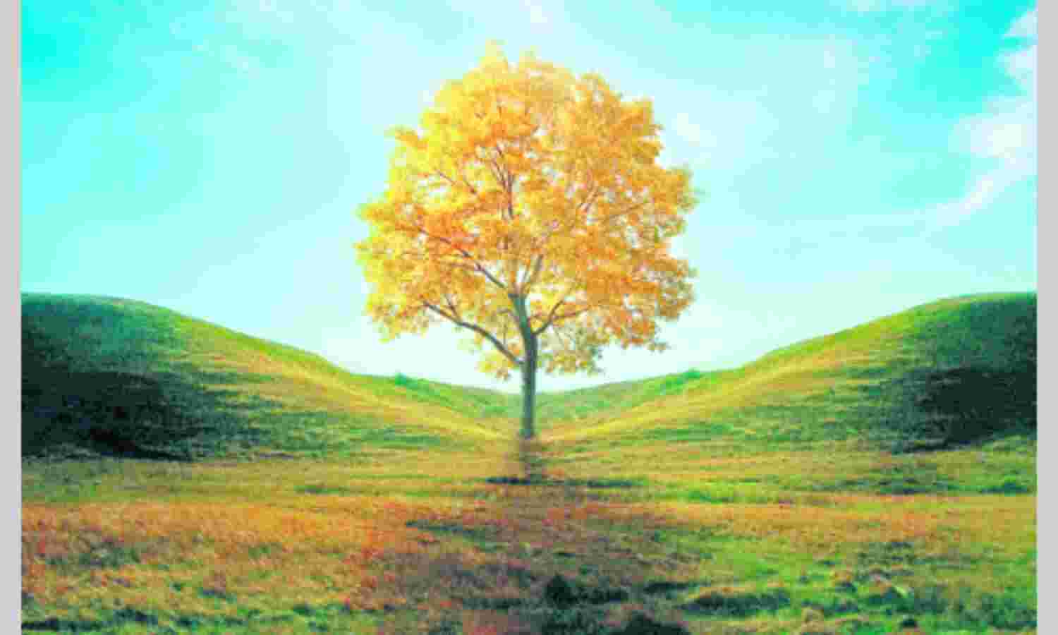 प्रकृति की गुनगुनाहट बसंतोत्सव