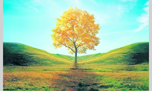 प्रकृति की गुनगुनाहट बसंतोत्सव