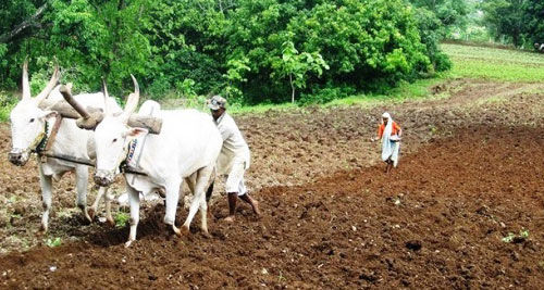 झारखंड सरकार किसानों को दस हजार रुपये की आर्थिक मदद देगी सरकार