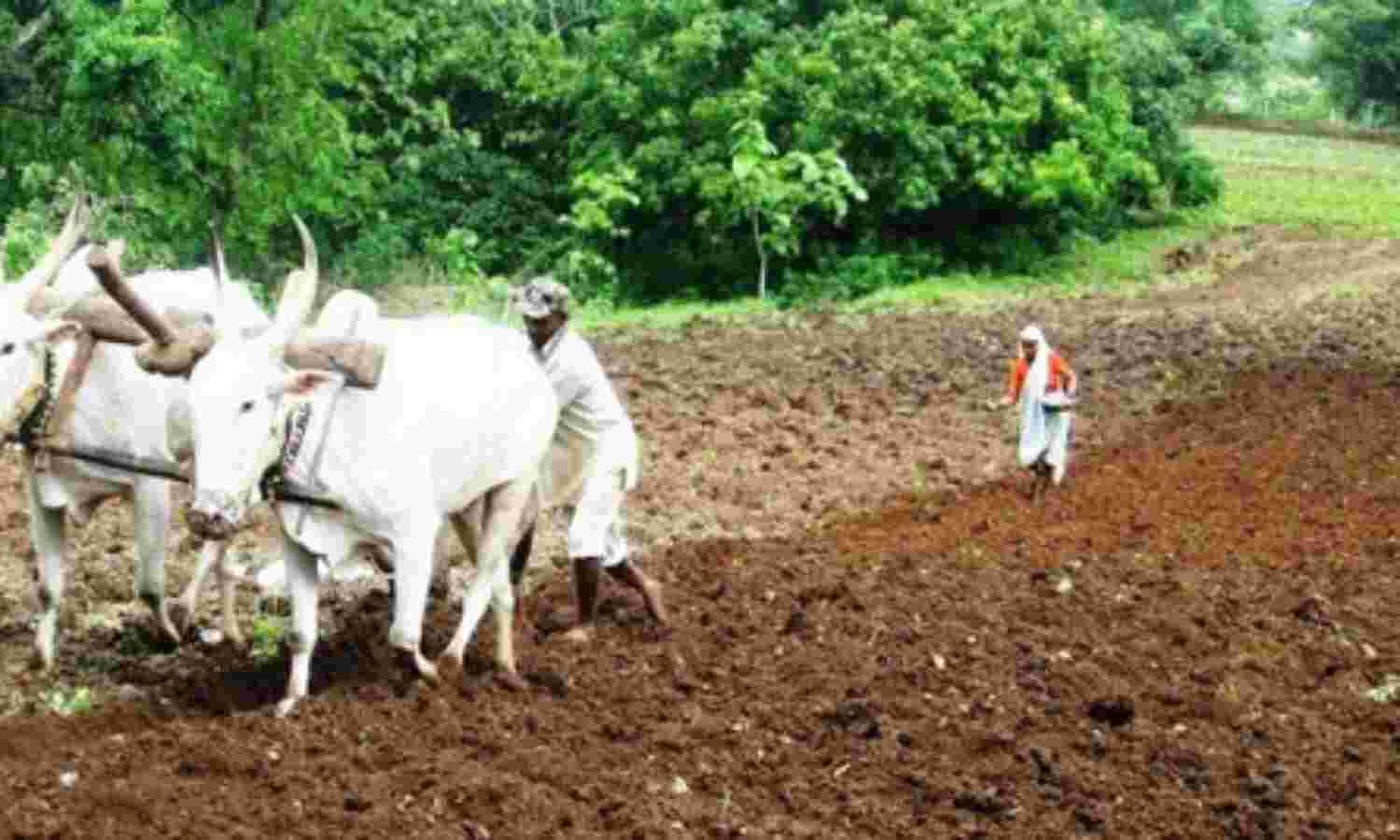 झारखंड सरकार किसानों को दस हजार रुपये की आर्थिक मदद देगी सरकार