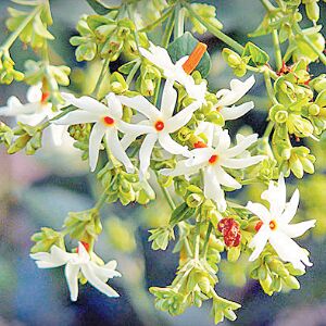 ज्ञान प्राप्ति हेतु करें यह उपाय ज्ञान प्राप्ति हेतु करें यह उपाय