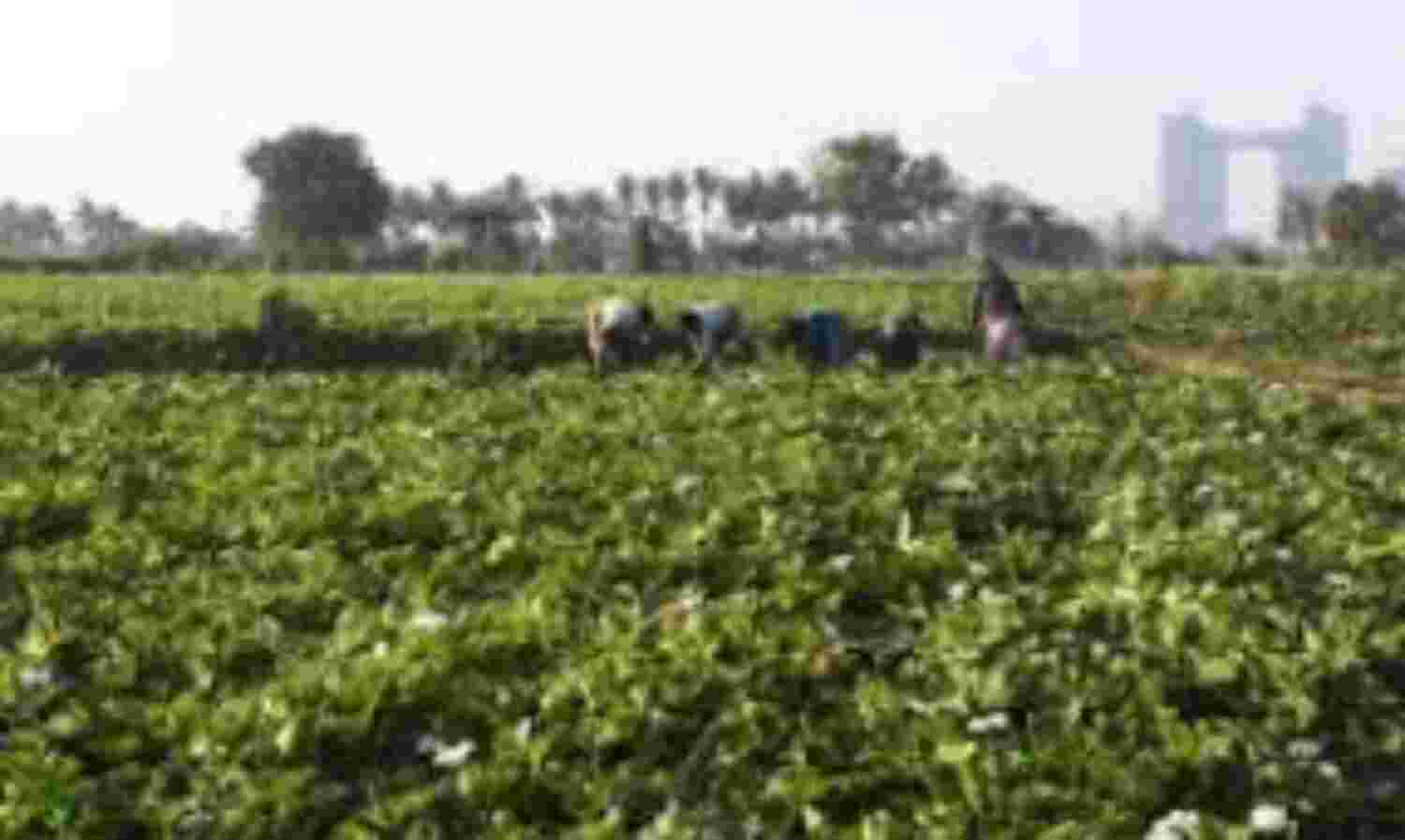 प्रधानमंत्री किसान योजना के शुभारम्भ का एलईडी वैन पर होगा सीधा प्रसारण