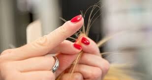 दो मुंहे बालों की समस्या से जल्द छुटकारा दिलाते हैं ये उपाय