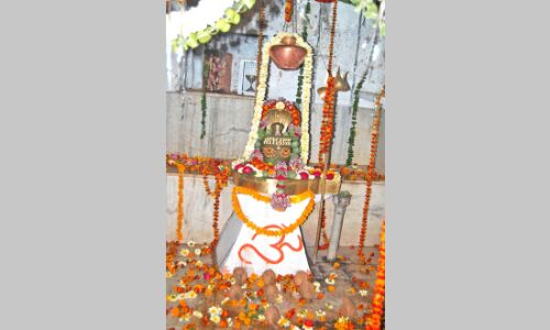 बजेंगे डमरु, पिलेगी भांग, शिव जी की बारात में नंदी संग नाचेंगे भूत-पिशाच