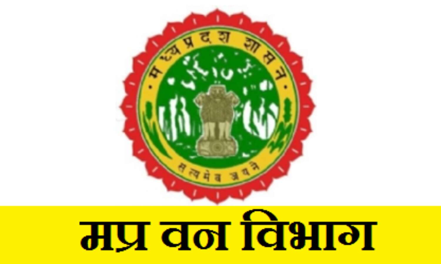 182 वन अधिकारियों को है स्थाई होने का इंतजार