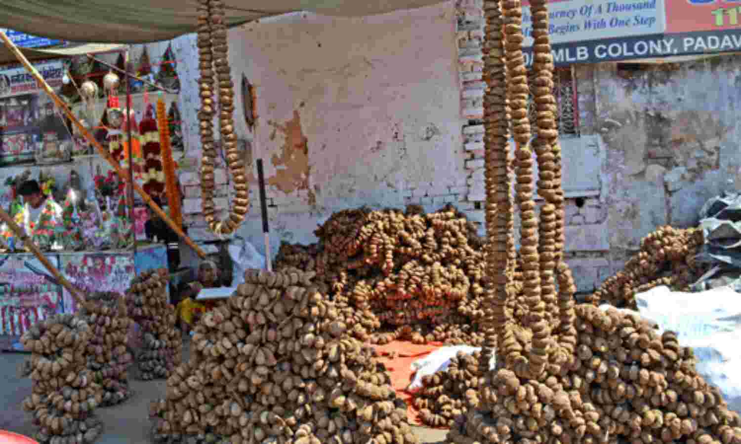 पर्यावरण को बचाने के लिए जलाएंगे कंडों की होली