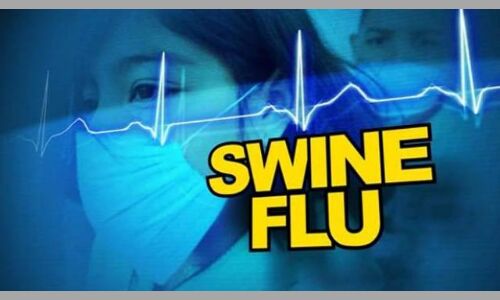 गर्भवती महिला सहित 6 स्वाइन फ्लू की चपेट में