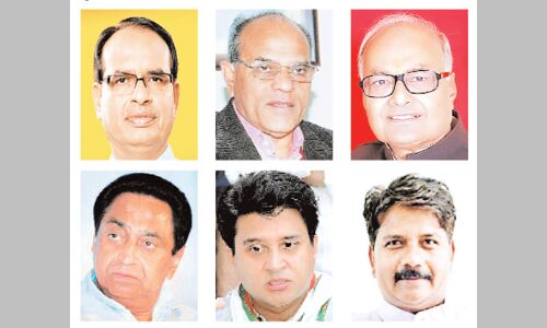 मध्यप्रदेश में वंशवादका वटवृक्ष