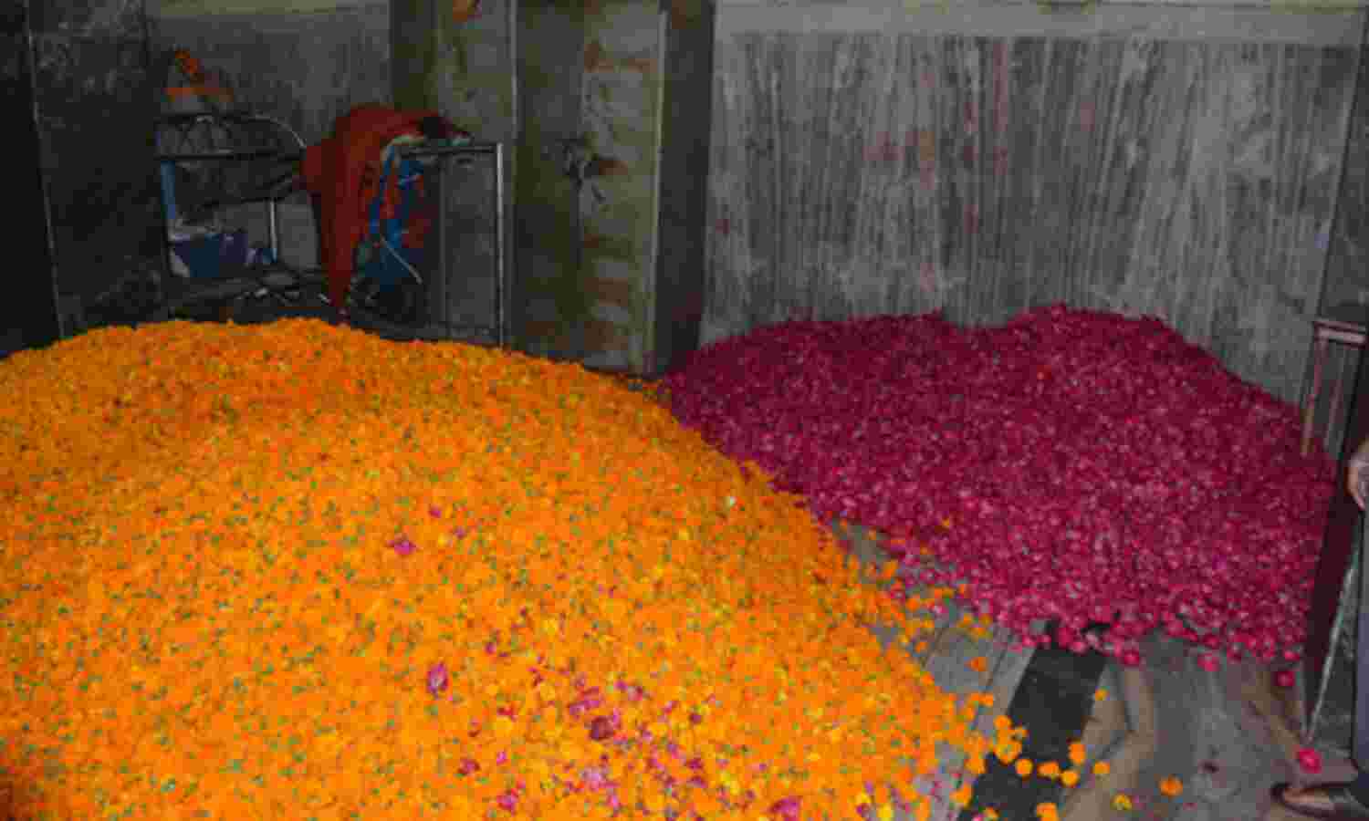 भगवान भोलेनाथ आज 21 क्विंटल फूलों और चन्दन से खेलेंगे होली भगवान भोलेनाथ आज 21 क्विंटल फूलों और चन्दन से खेलेंगे होली