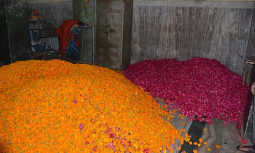 भगवान भोलेनाथ आज 21 क्विंटल फूलों और चन्दन से खेलेंगे होली